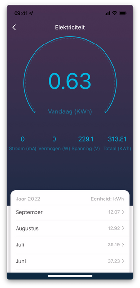 WiFi 16A smart plug with energy meter - Hihome